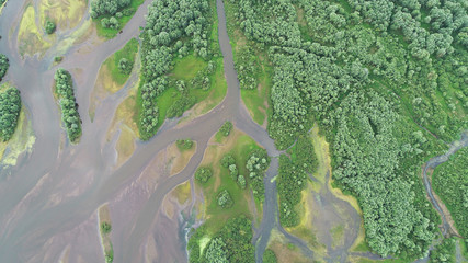 Aerial landscape from the drone - river delta