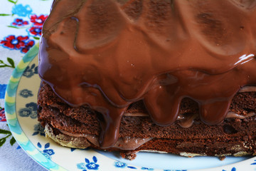 homemade chocolate cake with sour cream topped with chocolate