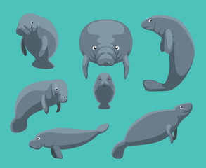 Manatee Seven Poses Set Vector Illustration