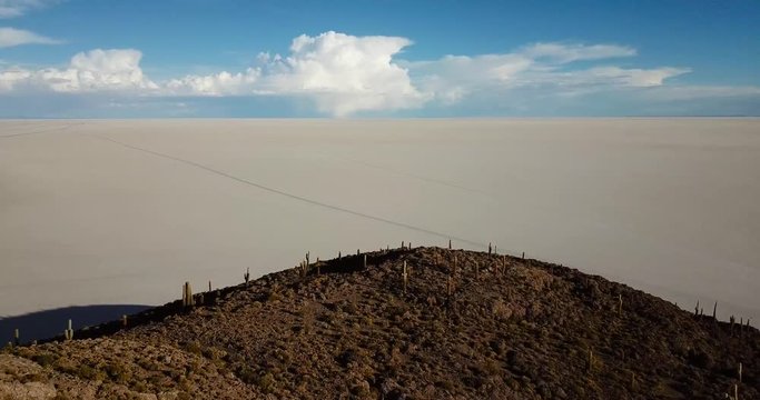 Cactus island and the salt lake aerial view