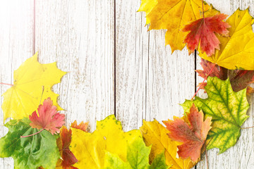 Naklejka na ściany i meble Seasonal frame of autumnal maple leaves on white wooden background