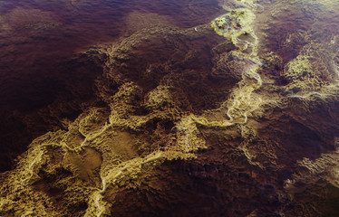 Yellow stromatolites surrounded by red water by the minerals of these waters, this environment is studied due to its resemblance to Mars.