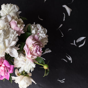 Fototapeta Peonies bouquet on black background