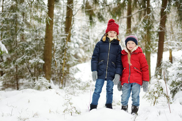 Fototapeta na wymiar Two adorable little girls having fun together in beautiful winter forest. Beautiful sisters playing in a snow.