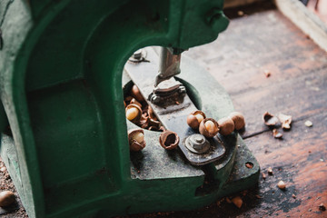 Shell cracker for cracking macadamia, open macadamia nut.