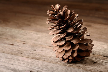 Pine cone on wooden table