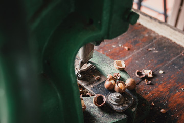 Shell cracker for cracking macadamia, open macadamia nut.