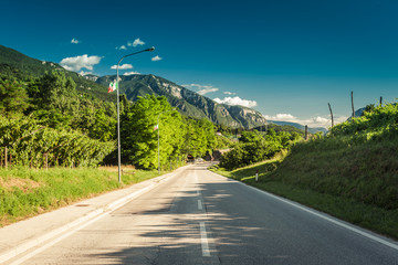 Road among green vineyards towards mountains