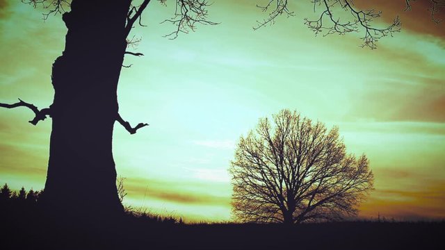 At sunset, death with a scythe runs fast