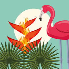 tropical leaves nature