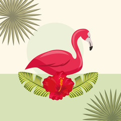 tropical leaves nature