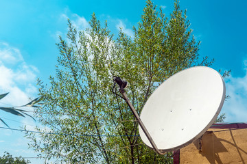Satellite dish on the wall of a country house