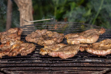 Meat at the barbecue