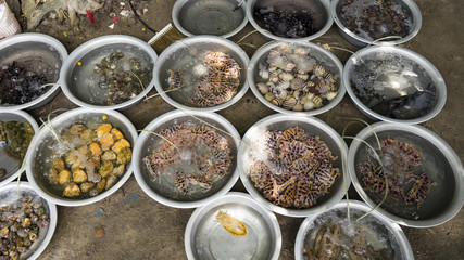 SeafoSeafood that is sold by local people on the island of Cham in Vietnam.od that is sold by local people on the island of Cham in Vietnam.