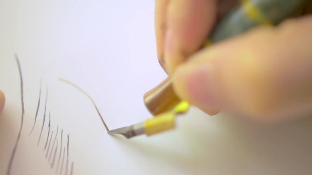 Pen stroke of an artist.