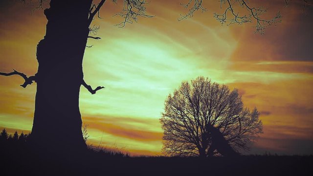 At sunset, death with a scythe runs fast