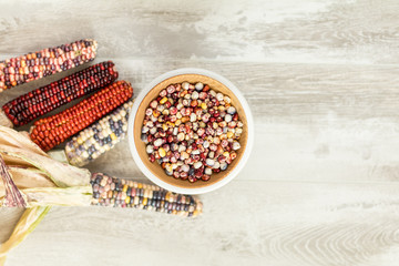 Cheerful and Colorful dried Indian Corn on light wooden surface as decoration for Thanksgiving...