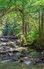 mountain river. water motion near the stones