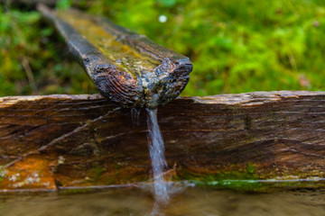 water from a spring