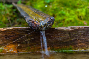 water from a spring