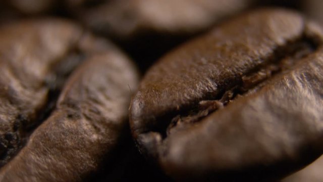 coffee grains top view, maro, close-up
