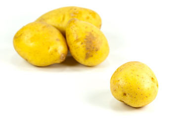 raw potatos isolated on white background