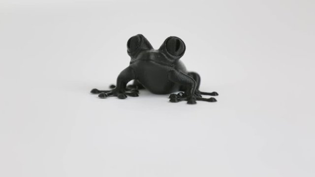 This is a clip of a 3D printed Frog.