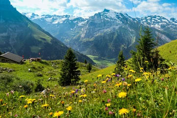 Schilderijen op glas Zwitserse zomerberg en bloemenlandschap © alinamaieru