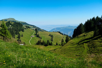 Fototapeta na wymiar Swiss Summer Landscape