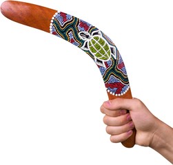 Wooden Boomerang