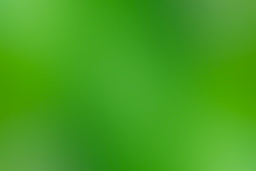 green gradient background / abstract blurry fresh green background