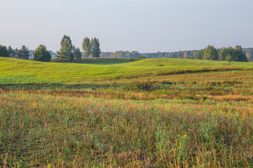 Fototapeta na wymiar Early morning with sunlight, meadow and trees. Nature photo. Travel photo 2018.