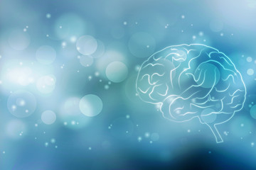 Human brain 2d illustration
