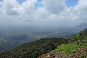 Naklejka premium Nature's beauty