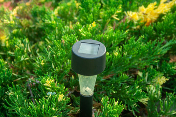 Garden flashlight