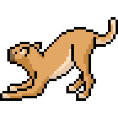 Obraz premium vector pixel art wild cat