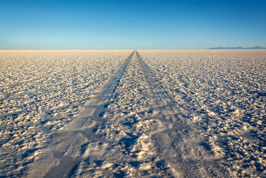 Car tracks in Salar de Uyuni (Uyuni salt flats), Potosi, Bolivia, South America