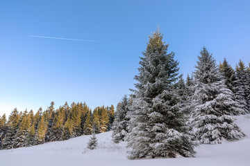 verschneite Landschaft