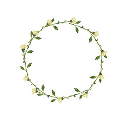 Pastel yellow chrysanthemum flowers frame isolated on white background. Hand drawn watercolor illustration.