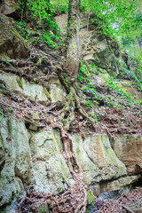 Painterly rocks and trees on the mountain river Kaverze, Russia