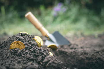 Coins searching. Treasure hunting concept. In search of a lost treasure.