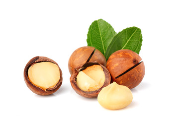 The macadamia nuts with leaf isolated.
