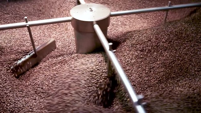 Roasted specialty coffee beans cooling down on the spinning cooling tray.
