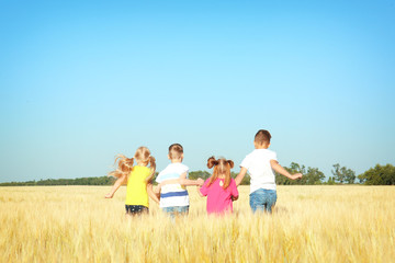 Fototapeta na wymiar Cute little children playing in wheat field on sunny day