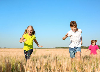 Cute little children playing in wheat field on sunny day