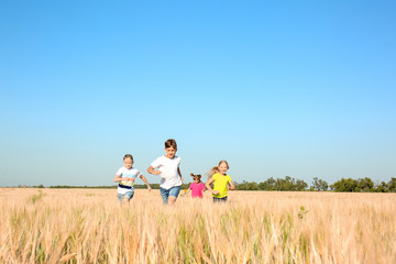 Cute little children playing in wheat field on sunny day