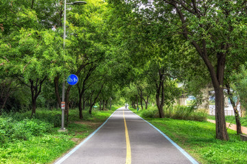 Obraz premium Ścieżka rowerowa Han River