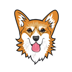 Cool dog welsh corgi face. Color vector illustration