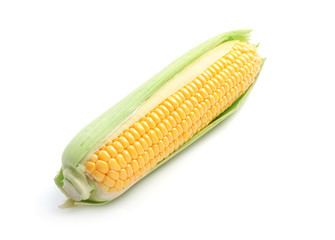 Fresh corn cob on white background