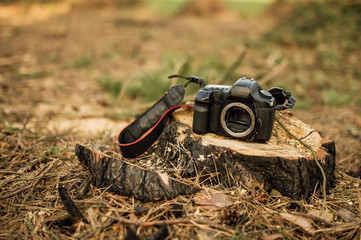 photo camera on wooden stumps, old film camera on tree